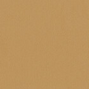 Inca 400 Swatch image for Inca 400